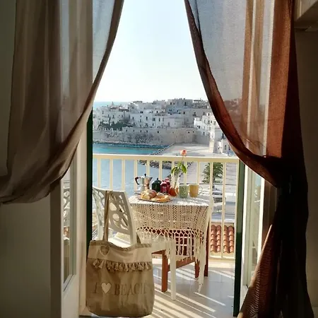 Miro Vacanze